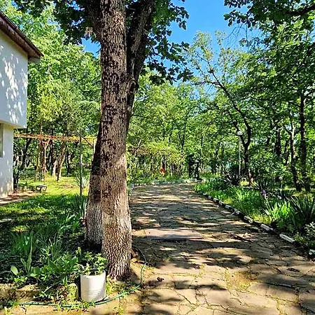 酒店 